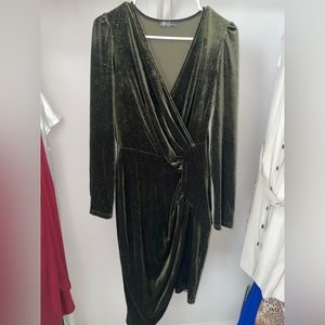 Pretty Garden Green Velvet Shimmer Dress